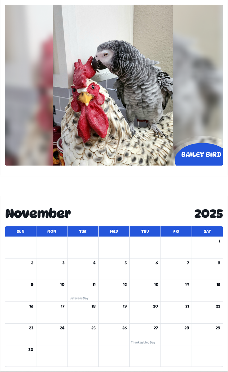 July 2025 - June 2026 Bailey Bird - Pawidols Pet Calendar