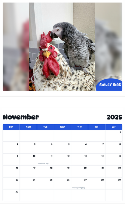 July 2025 - June 2026 Bailey Bird - Pawidols Pet Calendar