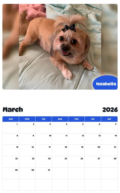 November 2025 - October 2026 Issabella - Pawidols Pet Calendar