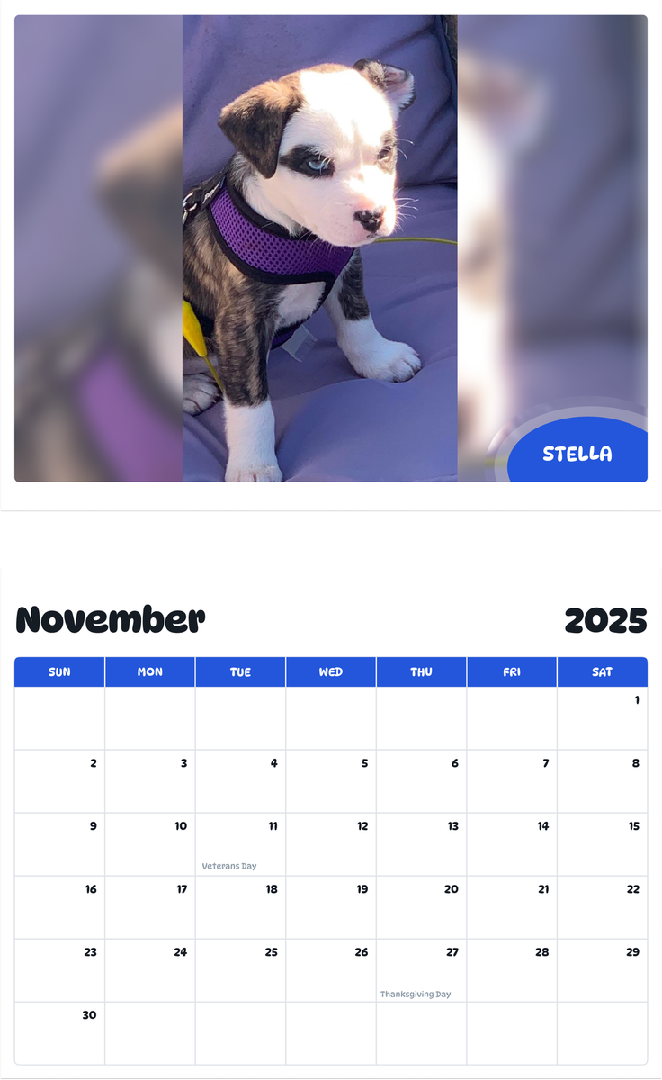 July 2025 - June 2026 Stella - Pawidols Pet Calendar
