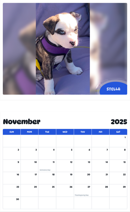 July 2025 - June 2026 Stella - Pawidols Pet Calendar