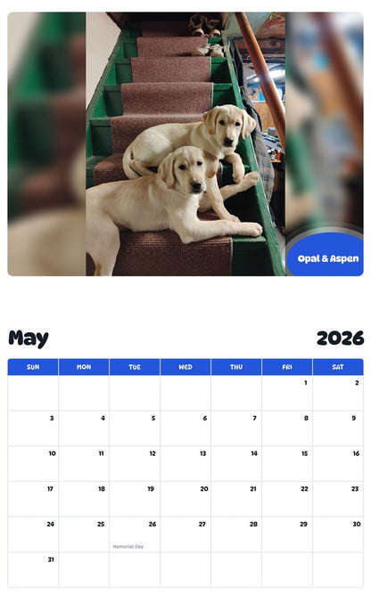2026 - 2027 Opal & Aspen - Pawidols Pet Calendar