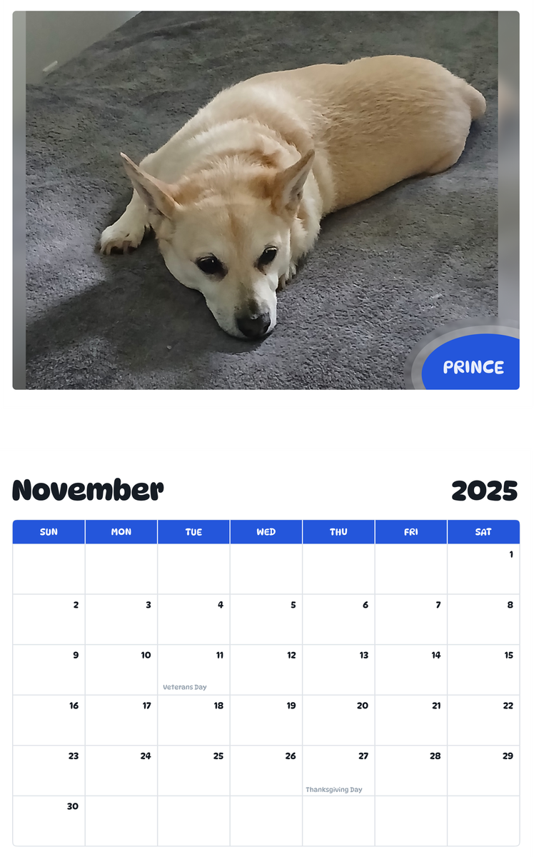 July 2025 - June 2026 Prince - Pawidols Pet Calendar