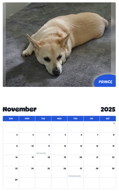 July 2025 - June 2026 Prince - Pawidols Pet Calendar