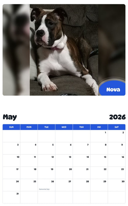 2026 - 2027 Nova - Pawidols Pet Calendar