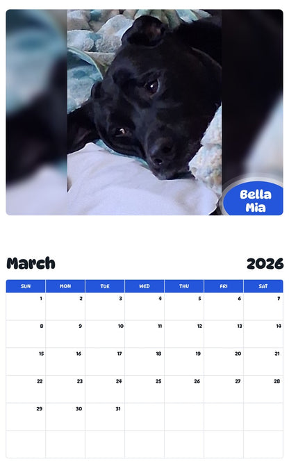 November 2025 - October 2026 Bella Mia - Pawidols Pet Calendar
