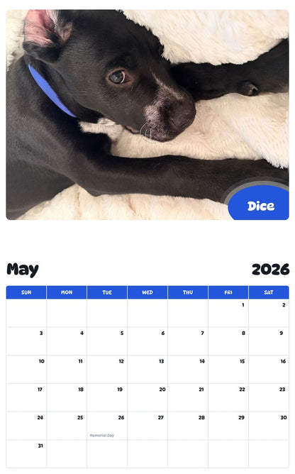 2026 - 2027 Dice - Pawidols Pet Calendar