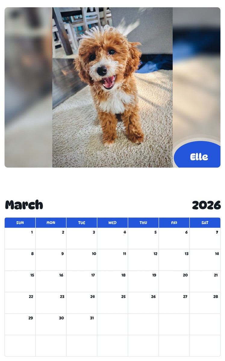 November 2025 - October 2026 Elle - Pawidols Pet Calendar