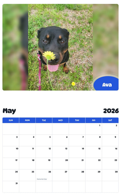 2026 - 2027 Ava - Pawidols Pet Calendar