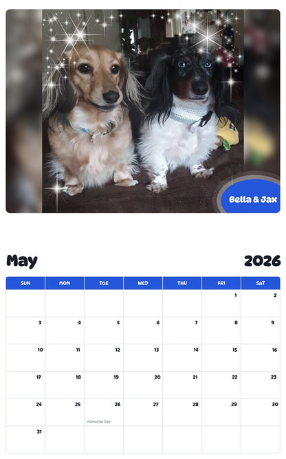 2026 - 2027 Bella & Jax - Pawidols Pet Calendar