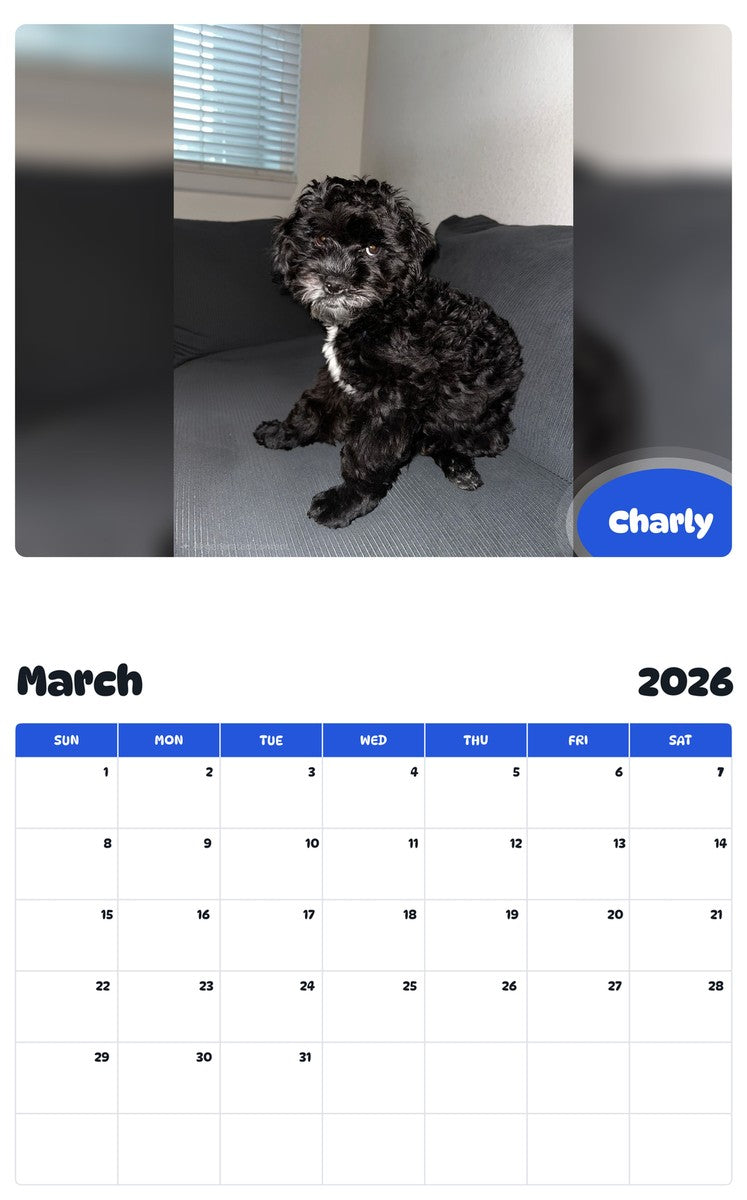 November 2025 - October 2026 Charly - Pawidols Pet Calendar