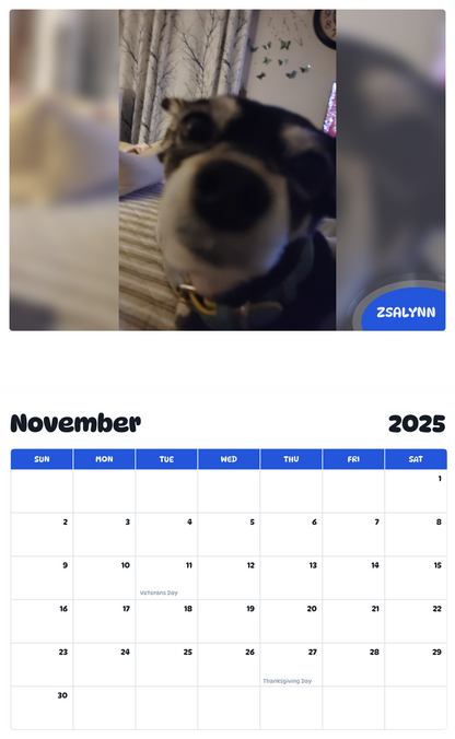 July 2025 - June 2026 Zsalynn - Pawidols Pet Calendar