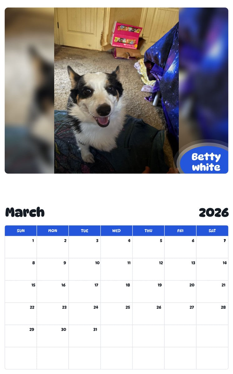 November 2025 - October 2026 Betty white - Pawidols Pet Calendar