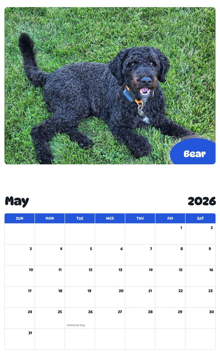 2026 - 2027 Bear - Pawidols Pet Calendar
