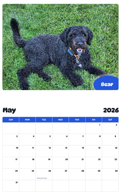 2026 - 2027 Bear - Pawidols Pet Calendar