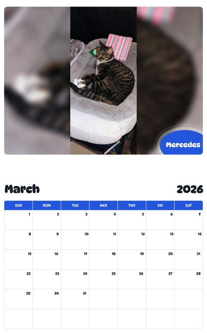 November 2025 - October 2026 Mercedes - Pawidols Pet Calendar