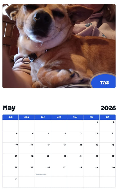 2026 - 2027 Taz - Pawidols Pet Calendar