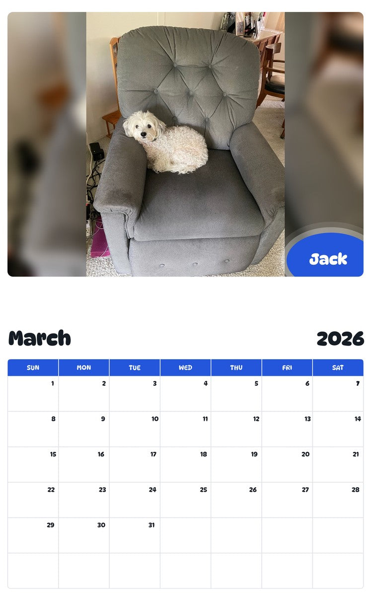 November 2025 - October 2026 Jack - Pawidols Pet Calendar