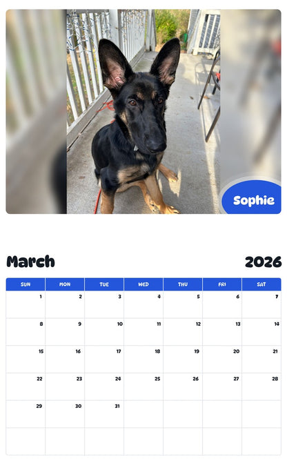 November 2025 - October 2026 Sophie - Pawidols Pet Calendar