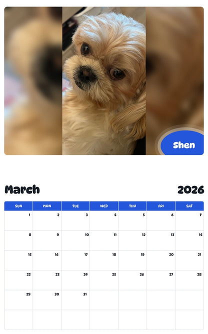 November 2025 - October 2026 Shen - Pawidols Pet Calendar
