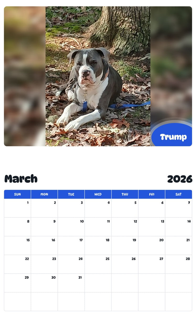 November 2025 - October 2026 Trump - Pawidols Pet Calendar