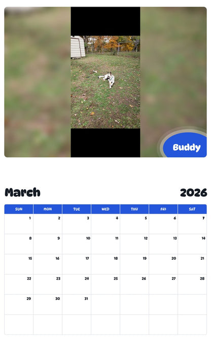 November 2025 - October 2026 Buddy - Pawidols Pet Calendar