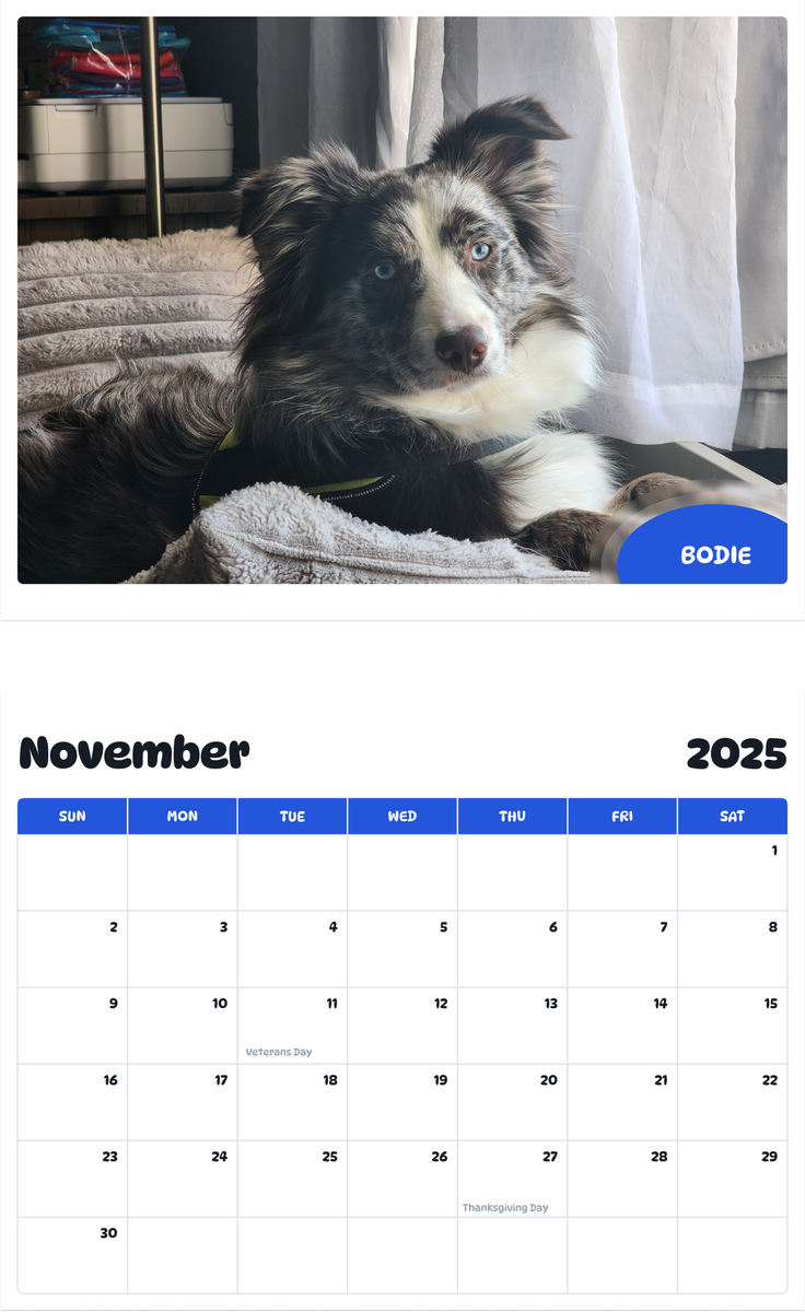 July 2025 - June 2026 Bodie - Pawidols Pet Calendar
