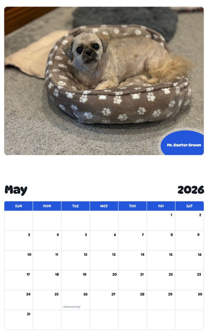 2026 - 2027 Mr. Baxter Brown - Pawidols Pet Calendar