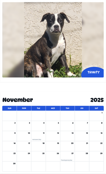 July 2025 - June 2026 Trinity - Pawidols Pet Calendar