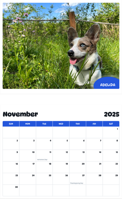 July 2025 - June 2026 Adelida - Pawidols Pet Calendar