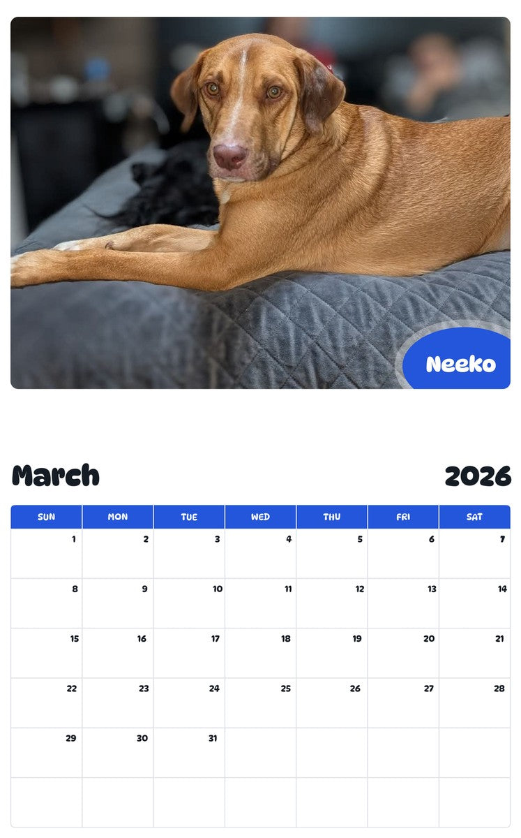 November 2025 - October 2026 Neeko - Pawidols Pet Calendar