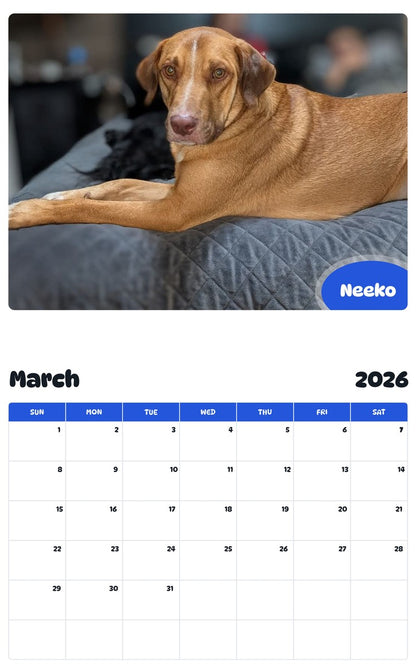 November 2025 - October 2026 Neeko - Pawidols Pet Calendar