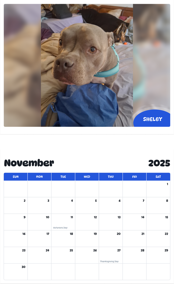 July 2025 - June 2026 Shelby - Pawidols Pet Calendar