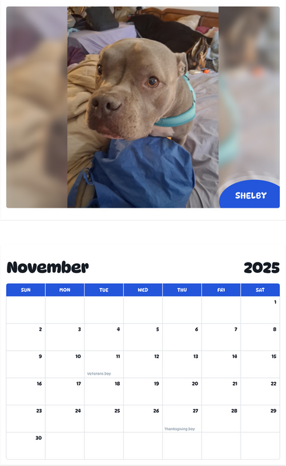 July 2025 - June 2026 Shelby - Pawidols Pet Calendar
