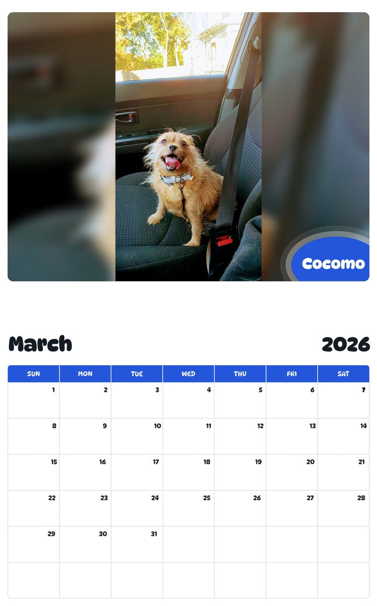 November 2025 - October 2026 Cocomo - Pawidols Pet Calendar
