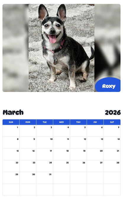 November 2025 - October 2026 Roxy - Pawidols Pet Calendar