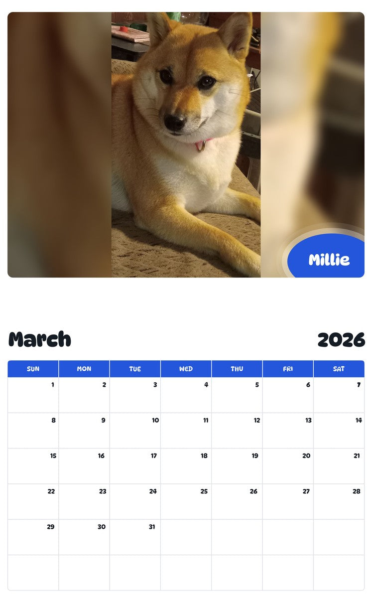November 2025 - October 2026 Millie - Pawidols Pet Calendar
