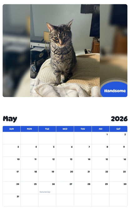 2026 - 2027 Handsome - Pawidols Pet Calendar
