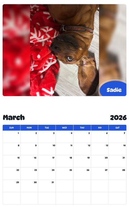 November 2025 - October 2026 Sadie - Pawidols Pet Calendar