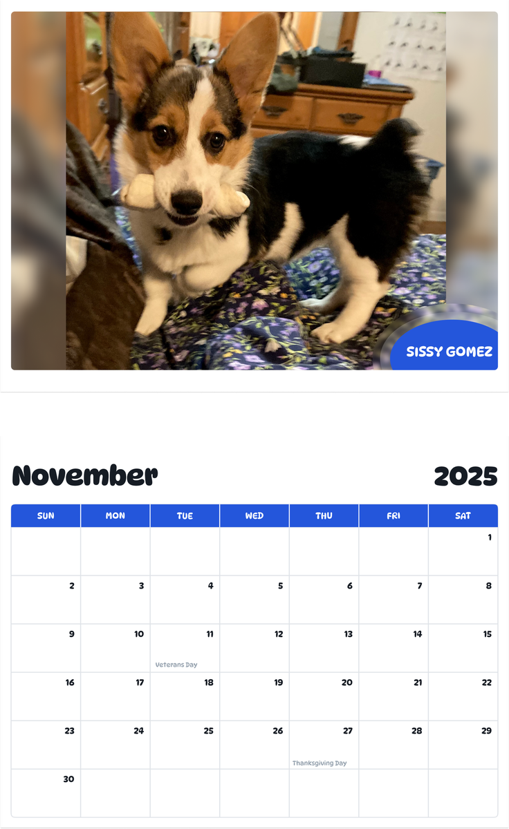 July 2025 - June 2026 Sissy gomez - Pawidols Pet Calendar