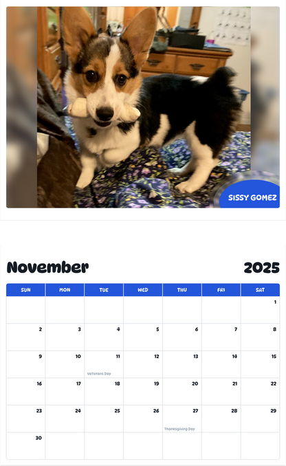 July 2025 - June 2026 Sissy gomez - Pawidols Pet Calendar
