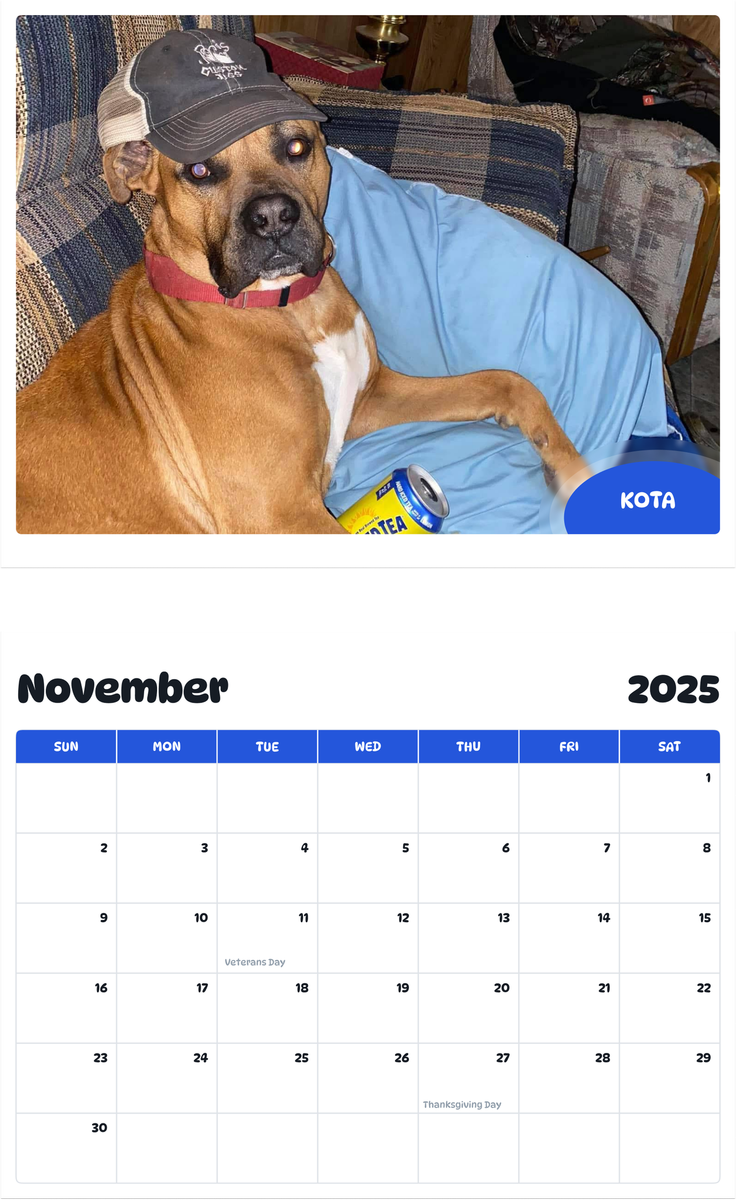 July 2025 - June 2026 Kota - Pawidols Pet Calendar