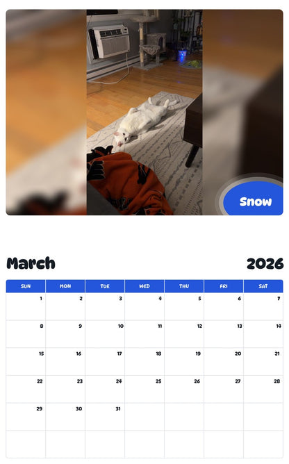 November 2025 - October 2026 Snow - Pawidols Pet Calendar