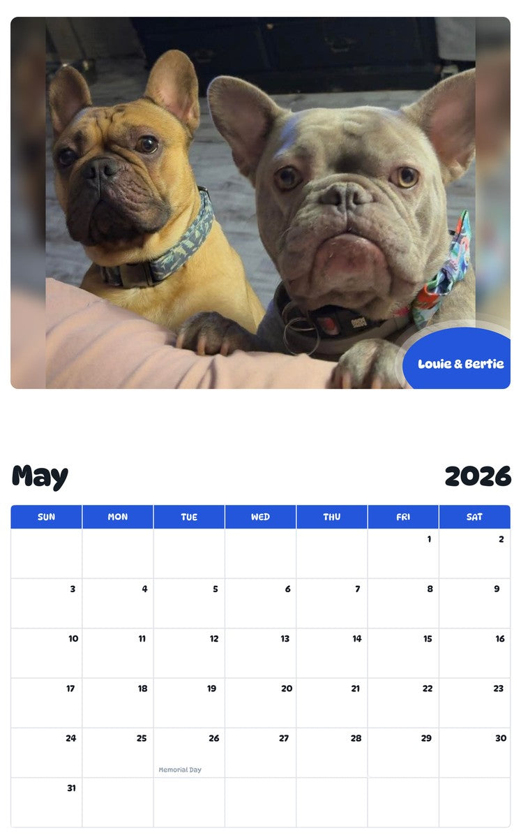 2026 - 2027 Louie & Bertie - Pawidols Pet Calendar