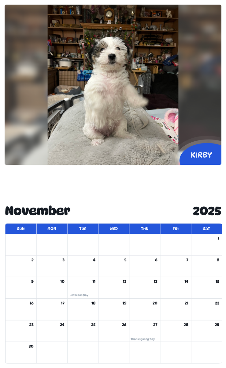 July 2025 - June 2026 Kirby - Pawidols Pet Calendar