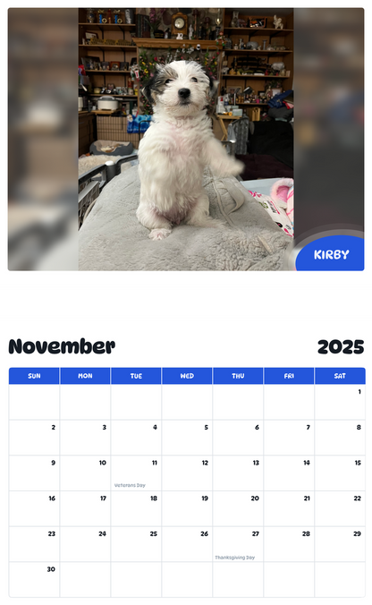 July 2025 - June 2026 Kirby - Pawidols Pet Calendar
