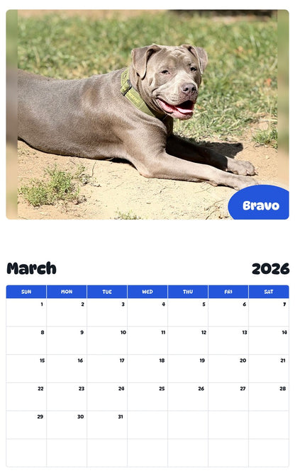 November 2025 - October 2026 Bravo - Pawidols Pet Calendar