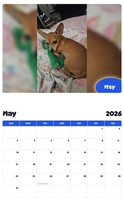 2026 - 2027 Itsy - Pawidols Pet Calendar