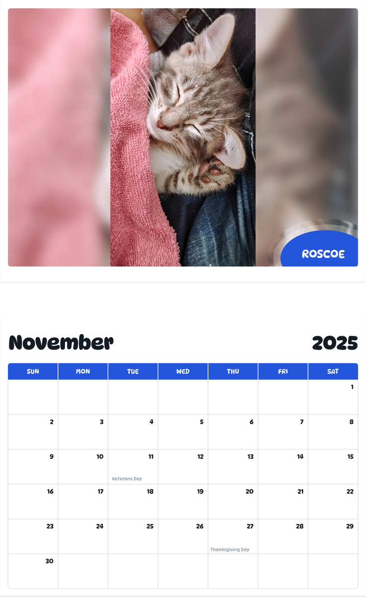July 2025 - June 2026 Roscoe - Pawidols Pet Calendar