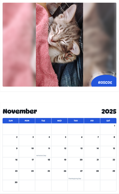 July 2025 - June 2026 Roscoe - Pawidols Pet Calendar